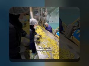 آیا میدانید چرا سیب در سایت شرط بندی محبوبیت زیادی دارد؟ کشف رازهای کاربردی و فنی سیب در دنیای شرط بندی آنلاین